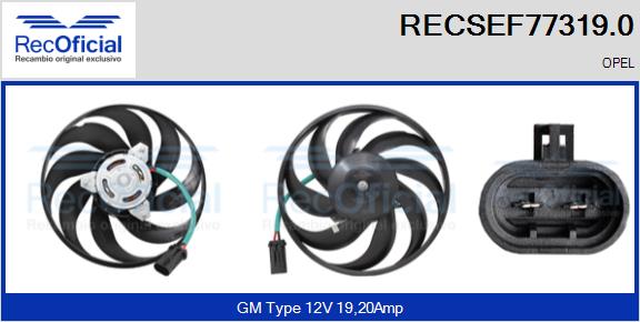 RECSEF77319.0