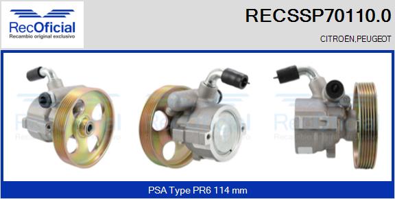 RECSSP70110.0