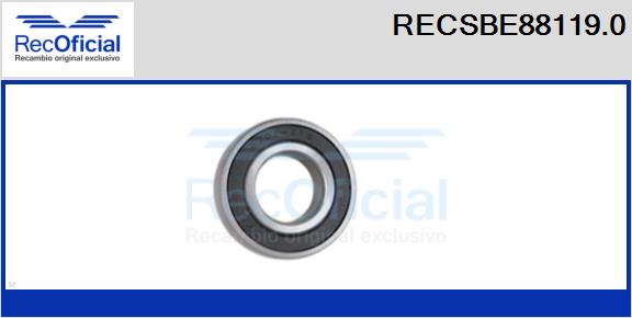 RECSBE88119.0