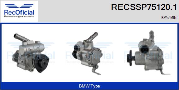 RECSSP75120.1