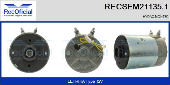 RECSEM21135.1