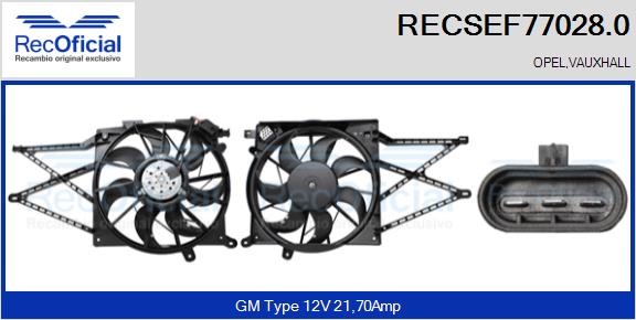 RECSEF77028.0