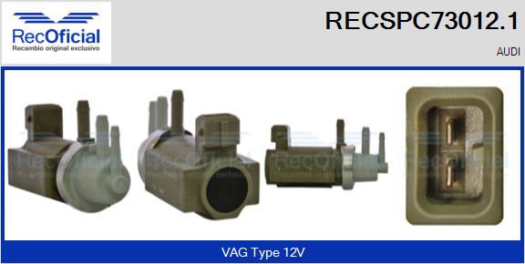 RECSPC73012.1