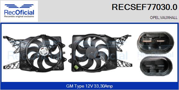 RECSEF77030.0