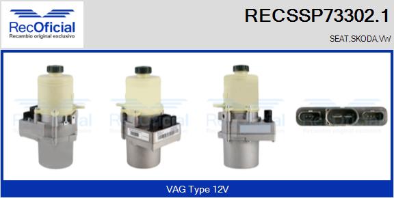 RECSSP73302.1