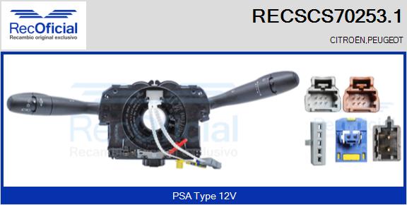 RECSCS70253.1