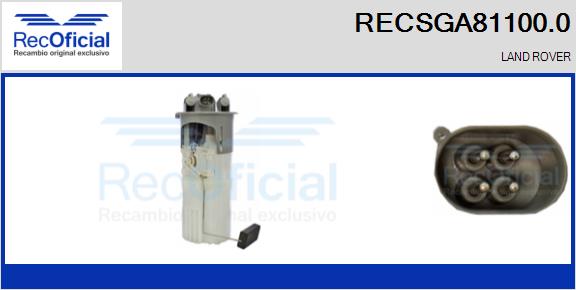RECSGA81100.0