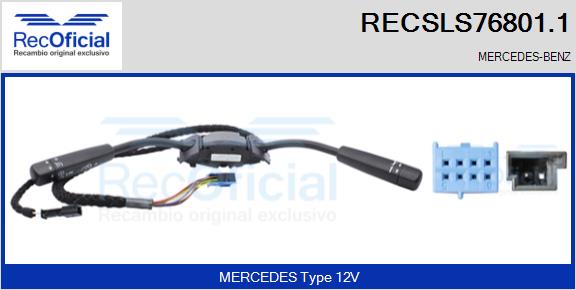 RECSLS76801.1