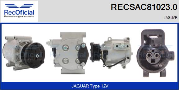 RECSAC81023.0