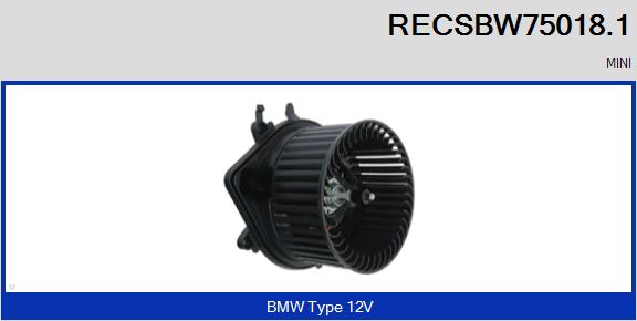RECSBW75018.1