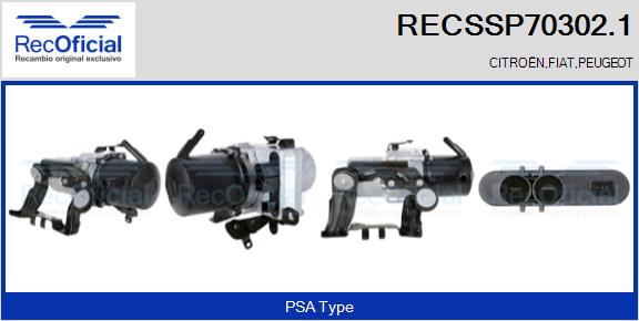 RECSSP70302.1