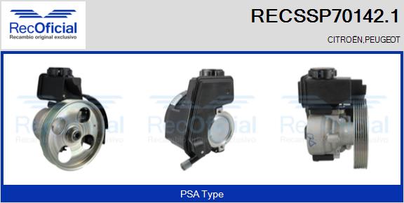 RECSSP70142.1