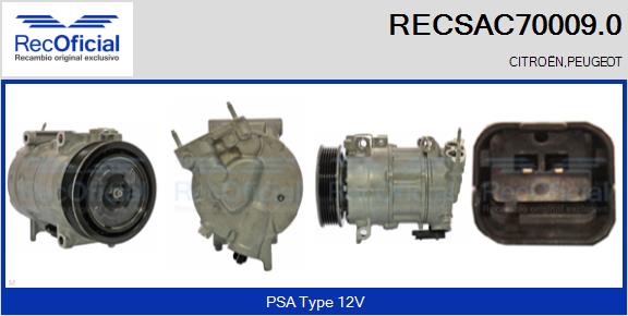 RECSAC70009.0