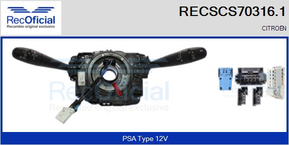 RECSCS70316.1