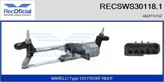 RECSWS30118.1