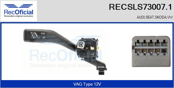 RECSLS73007.1