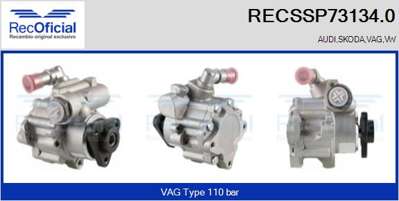 RECSSP73134.0