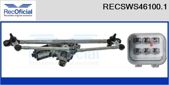RECSWS46100.1