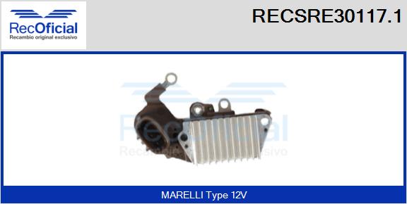 RECSRE30117.1