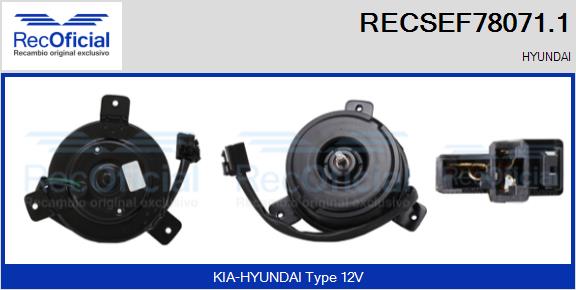 RECSEF78071.1