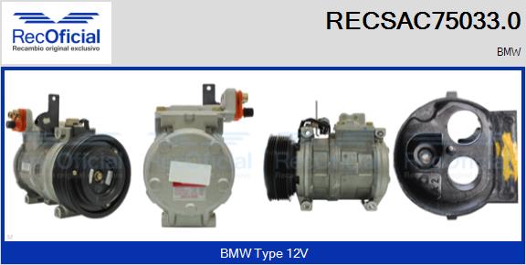 RECSAC75033.0