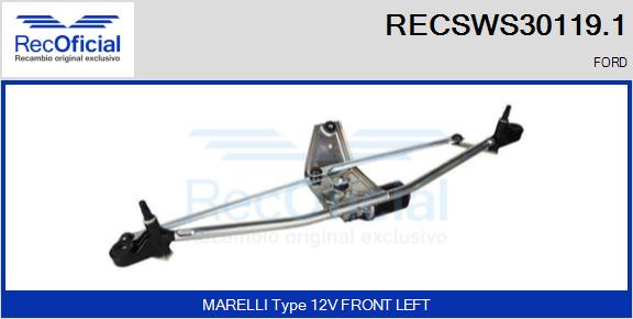 RECSWS30119.1
