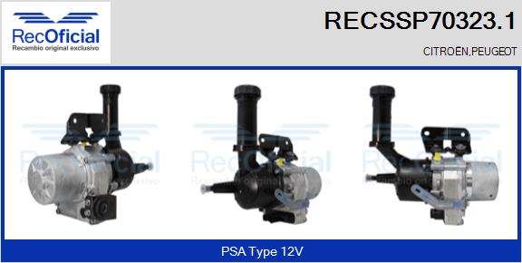 RECSSP70323.1