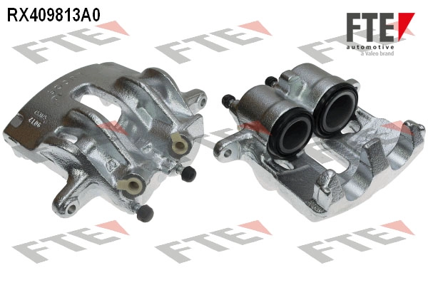 RX409813A0