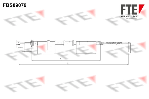 FBS09079