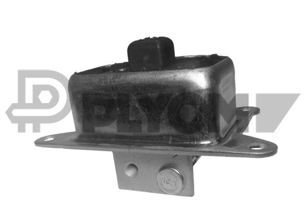 P480313