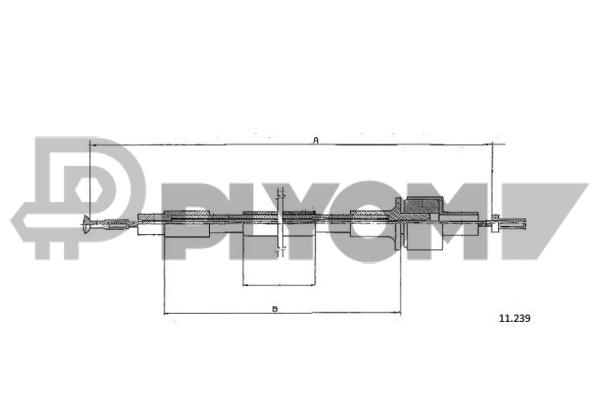 P761281