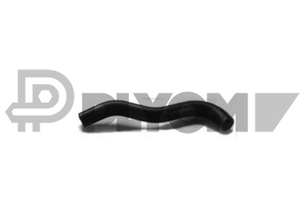 P126116