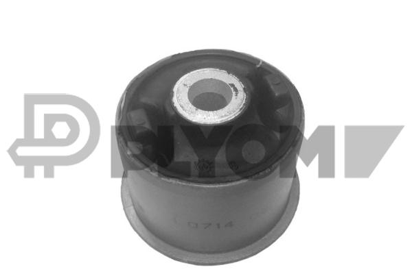 P010163