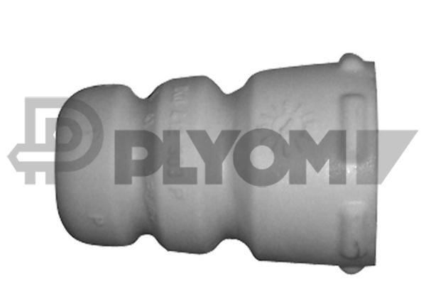 P462443