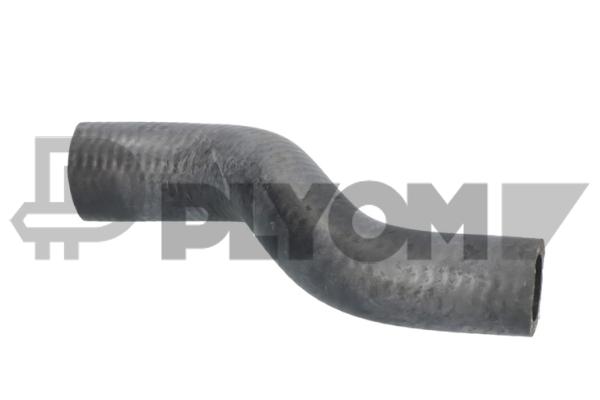 P776699