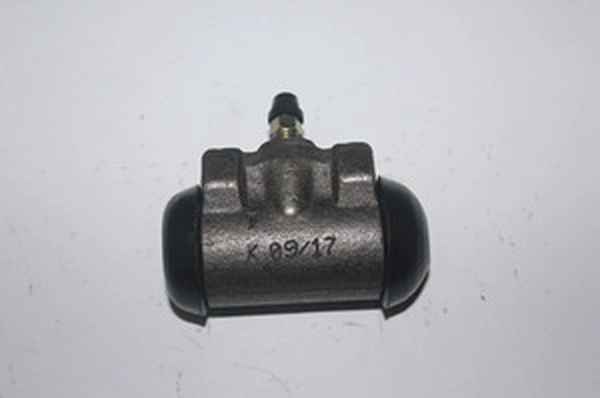 R1001
