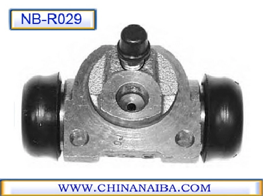 R029