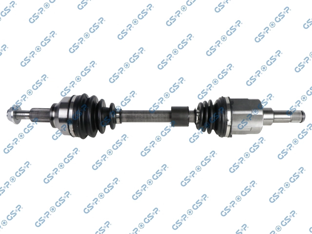 202646