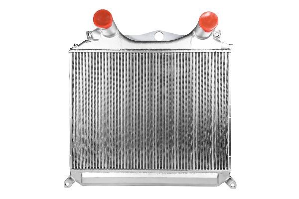 Z12519