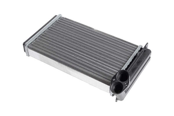 Z19869