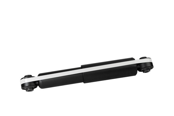 Z00289