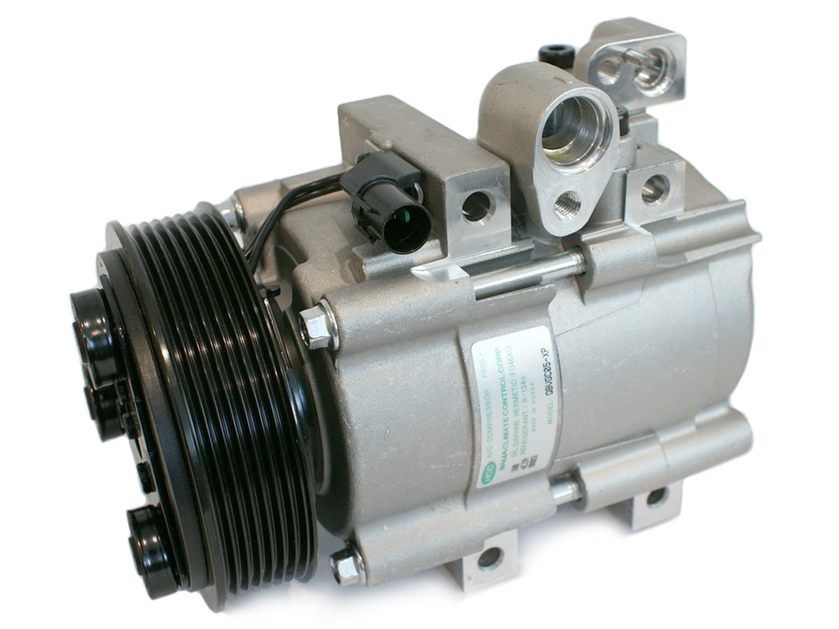 EKL31481