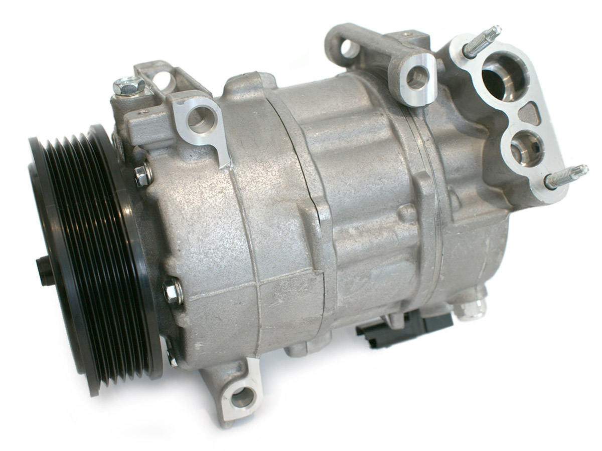 EKL31954