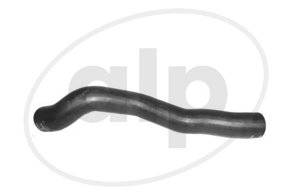 ALP-007613