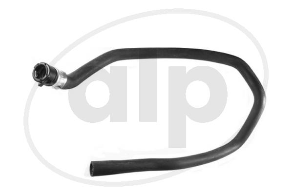 ALP-005596