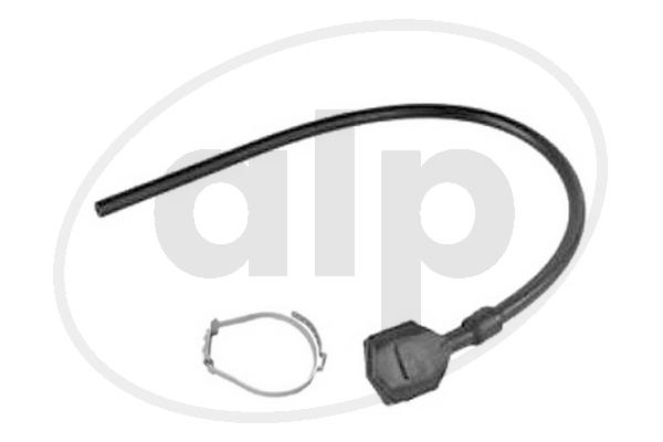 ALP-001019