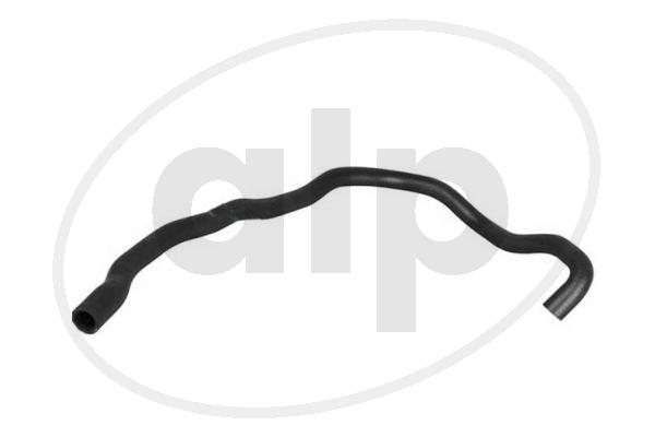 ALP-007169