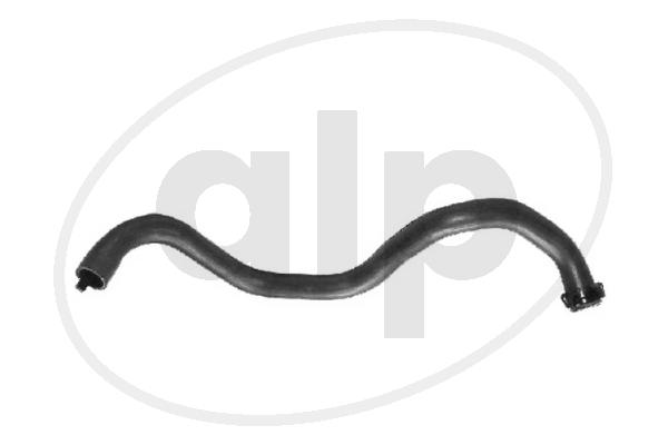 ALP-003736