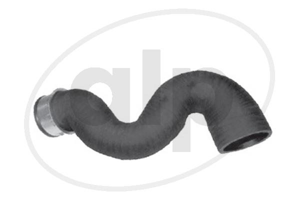 ALP-004294