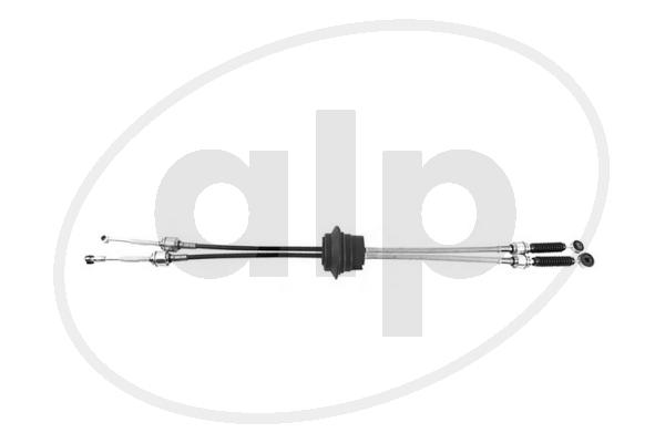 ALP-004556
